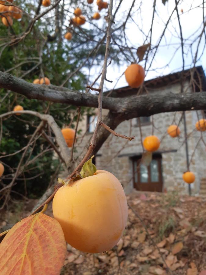 La Passione Charme House Bed & Breakfast