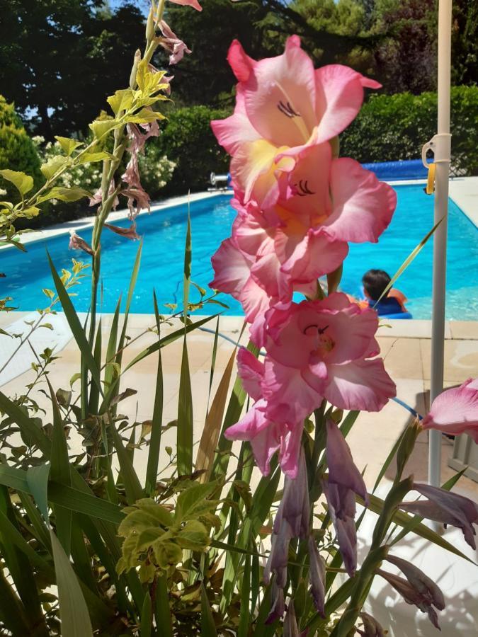 Bed & Breakfast La Passione Charme House
