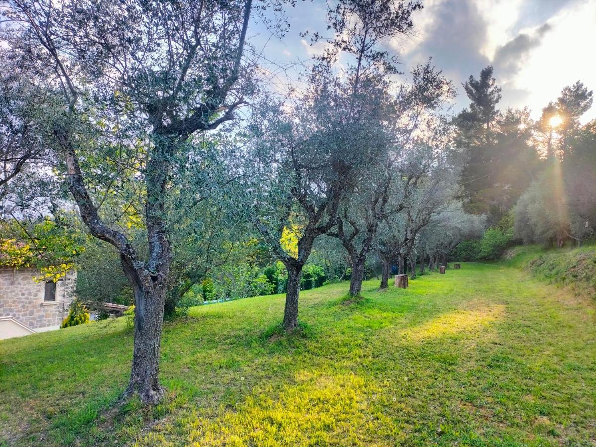 Bed & Breakfast La Passione Charme House *