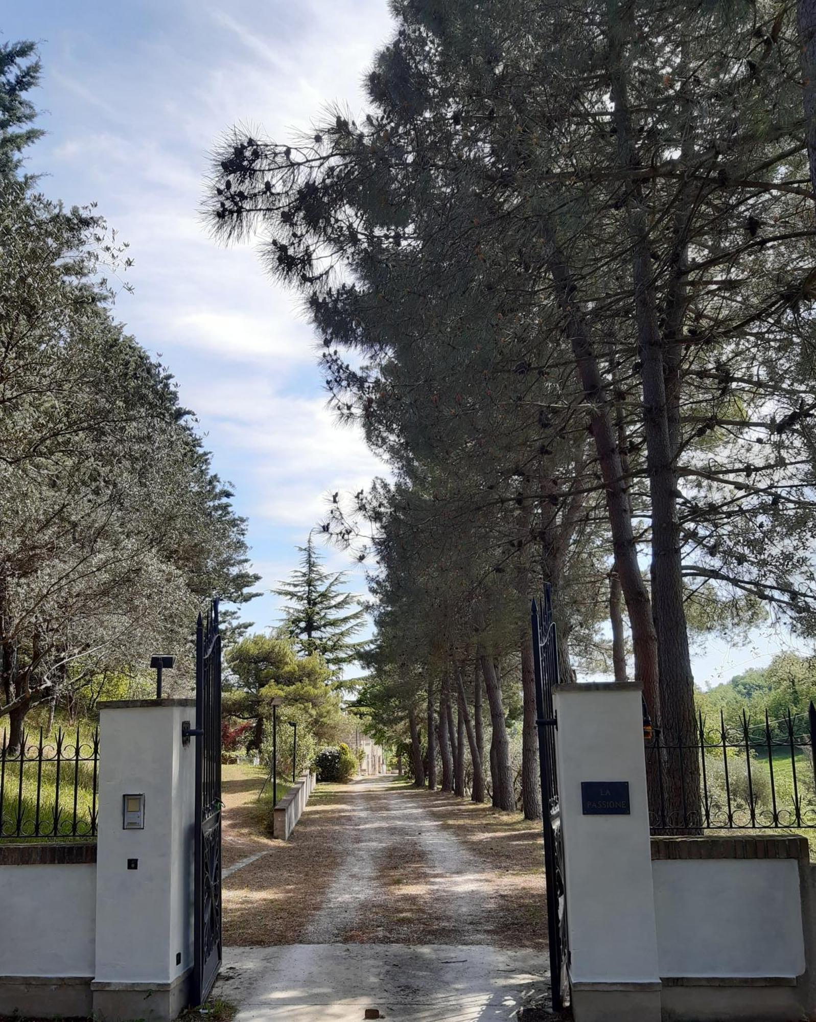 La Passione Charme House Bed & Breakfast Venarotta