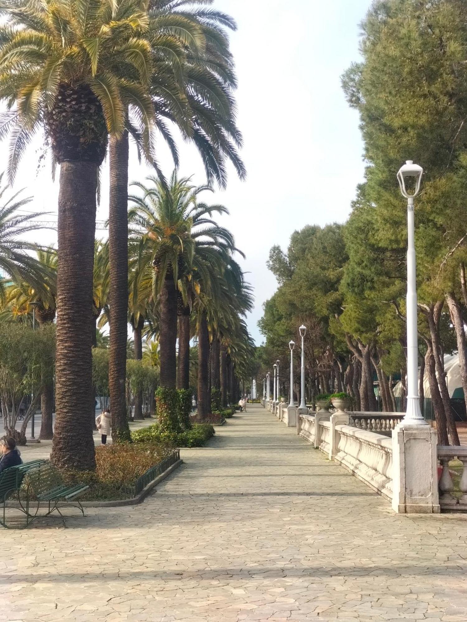 La Passione Charme House Bed & Breakfast Venarotta